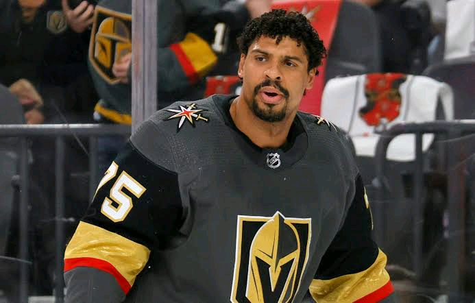 Ryan Reaves' Role Crucial to Maple Leafs' Success.